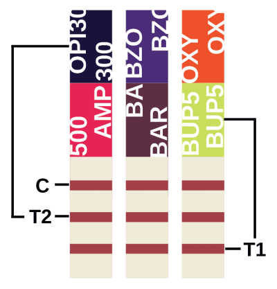 A strip of blood is shown with different colors.